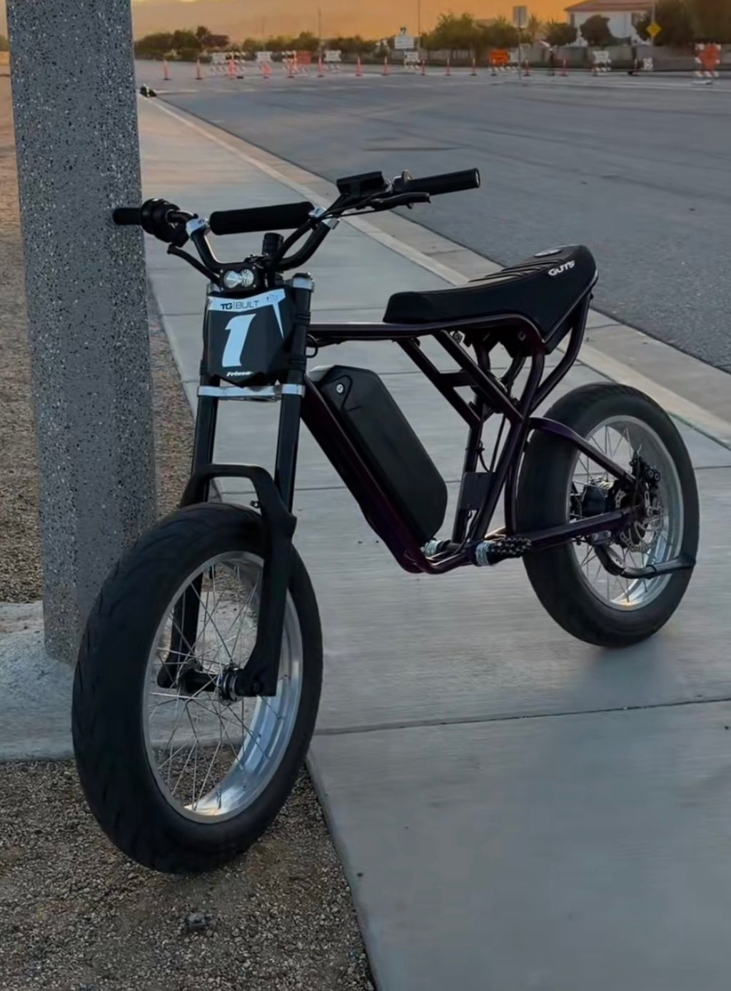 Ridstar plug and play baja light all models
