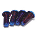 Surron ultra bee direct mount titanium bolts