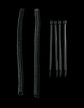 Cable management kit